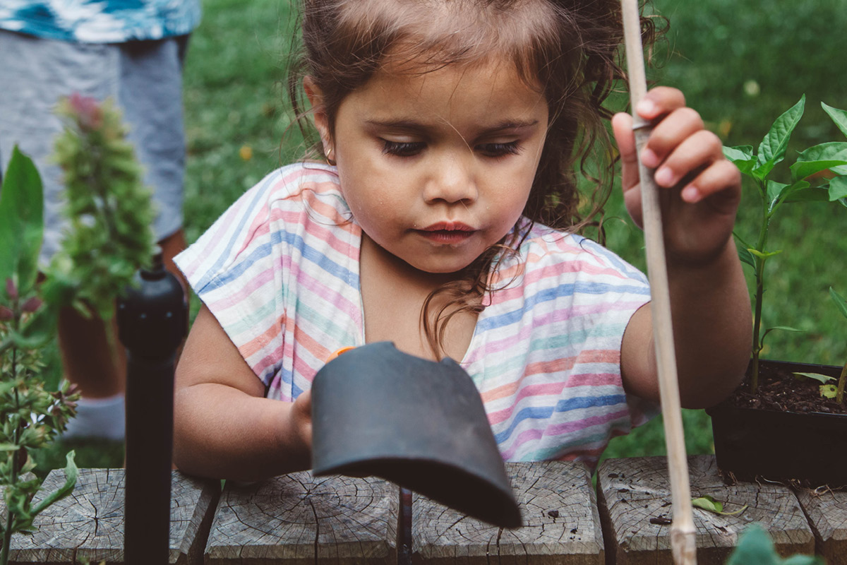 Course Image EarTrain: sandpit