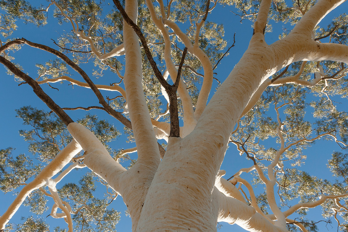 Course Image Setting the scene: health considerations