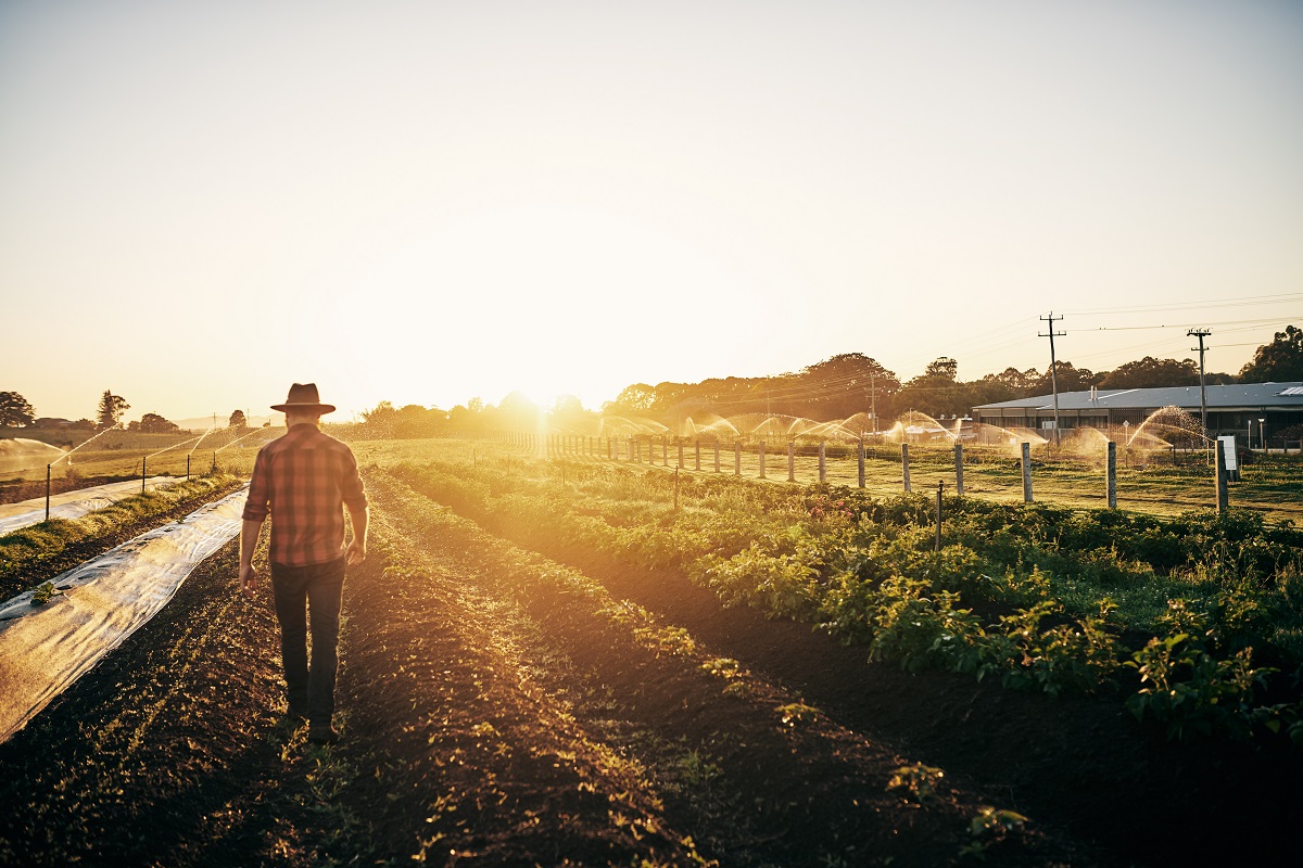 Course Image Masterclass: Sustainability in the Visitor Economy