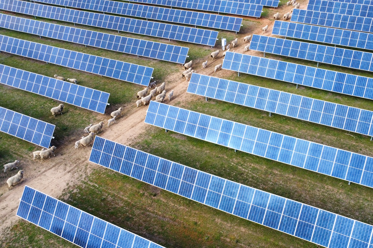Course Image Discover the large-scale solar industry